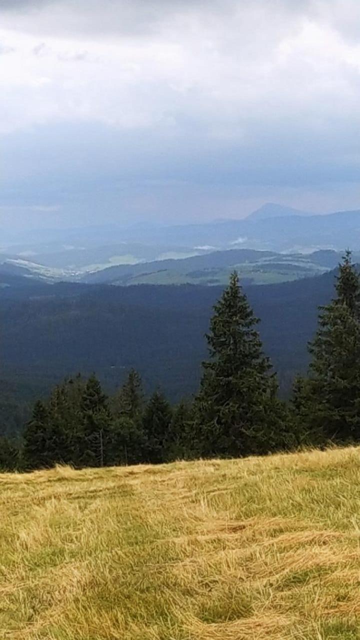 Dom Wypoczynkowy Pod Polanka Korbielów Exterior foto